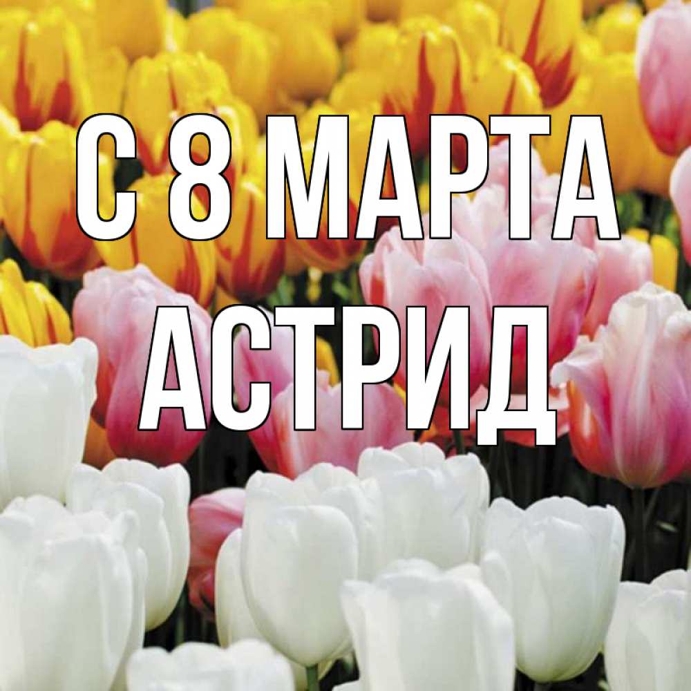 Открытка на каждый день с именем, Астрид С 8 марта разноцветные цветы Прикольная открытка с пожеланием онлайн скачать бесплатно 
