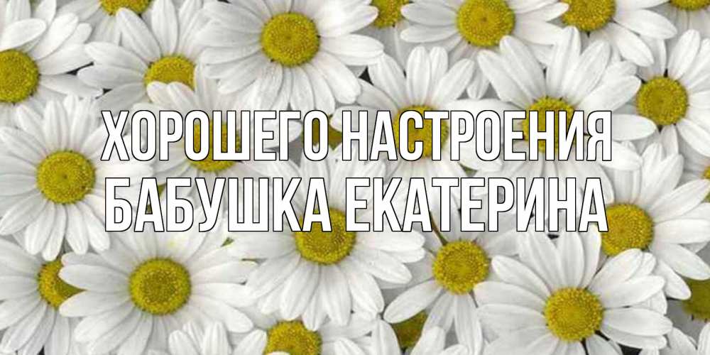 Открытка на каждый день с именем, Бабушка-Екатерина Хорошего настроения поляна ромашек Прикольная открытка с пожеланием онлайн скачать бесплатно 