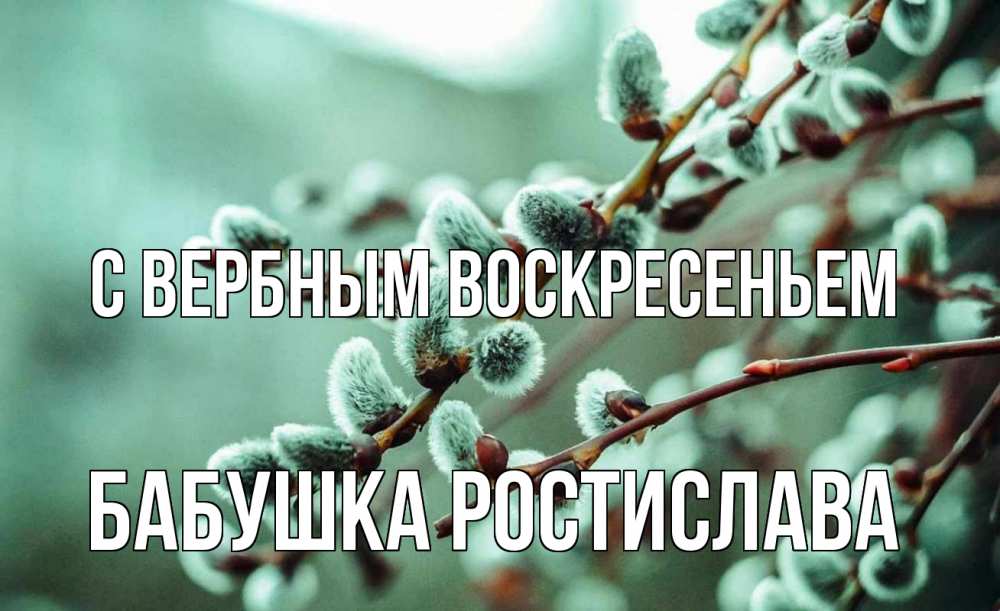 Открытка на каждый день с именем, Бабушка-Ростислава С вербным воскресеньем верба Прикольная открытка с пожеланием онлайн скачать бесплатно 
