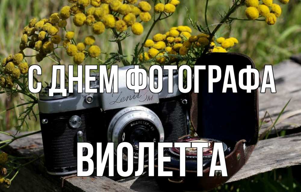 Открытка на каждый день с именем, Виолетта С днем фотографа с днем фотографа Прикольная открытка с пожеланием онлайн скачать бесплатно 