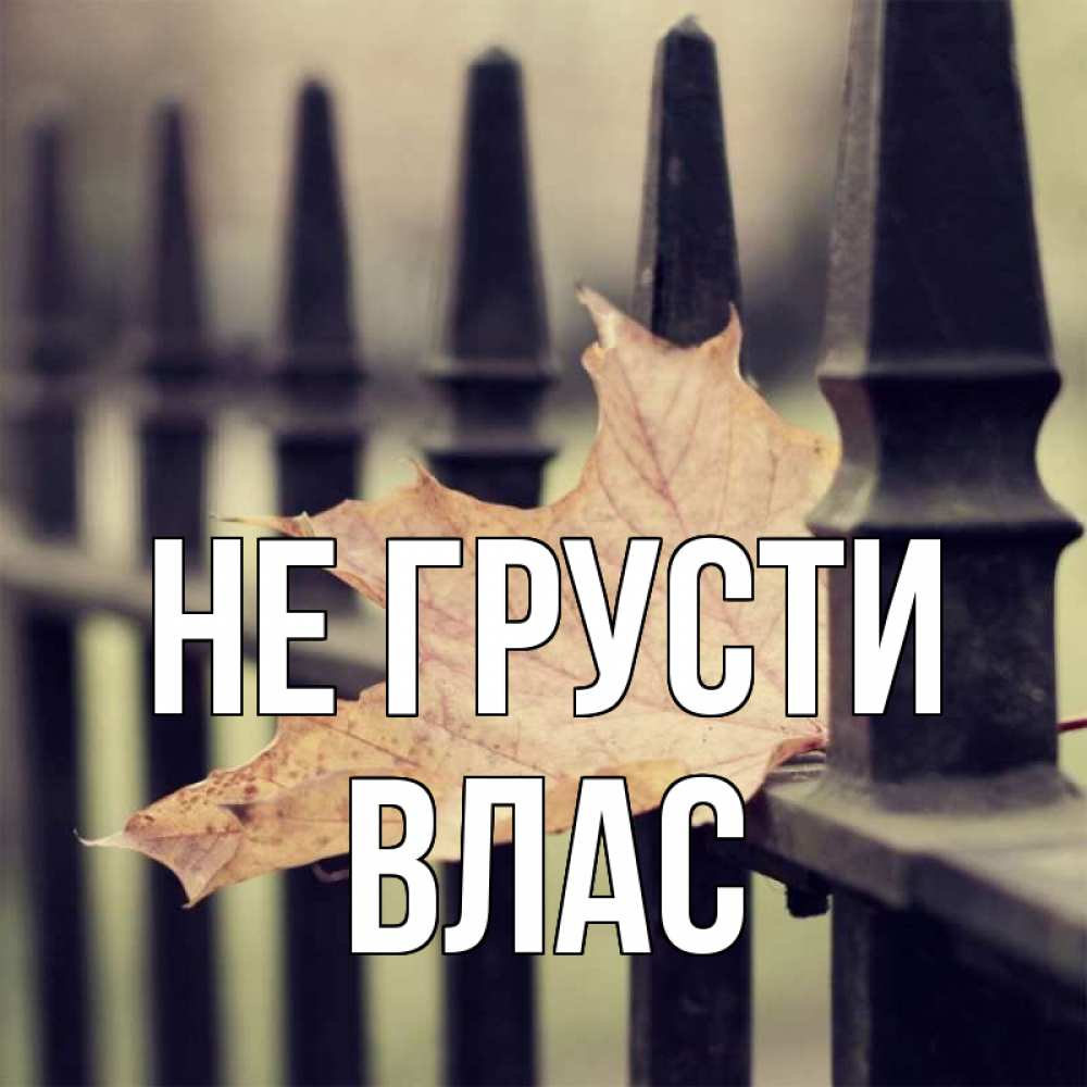 Открытка на каждый день с именем, Влас Не грусти лист клена Прикольная открытка с пожеланием онлайн скачать бесплатно 