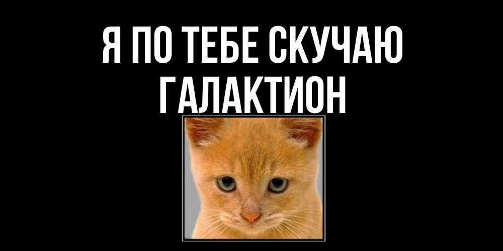 Открытка на каждый день с именем, Галактион Я по тебе скучаю открытки рыжий котенок скучает по тебе Прикольная открытка с пожеланием онлайн скачать бесплатно 