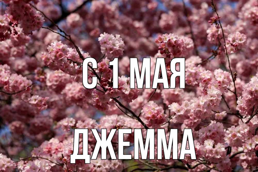 Открытка на каждый день с именем, Джемма С 1 мая С 1 мая Прикольная открытка с пожеланием онлайн скачать бесплатно 