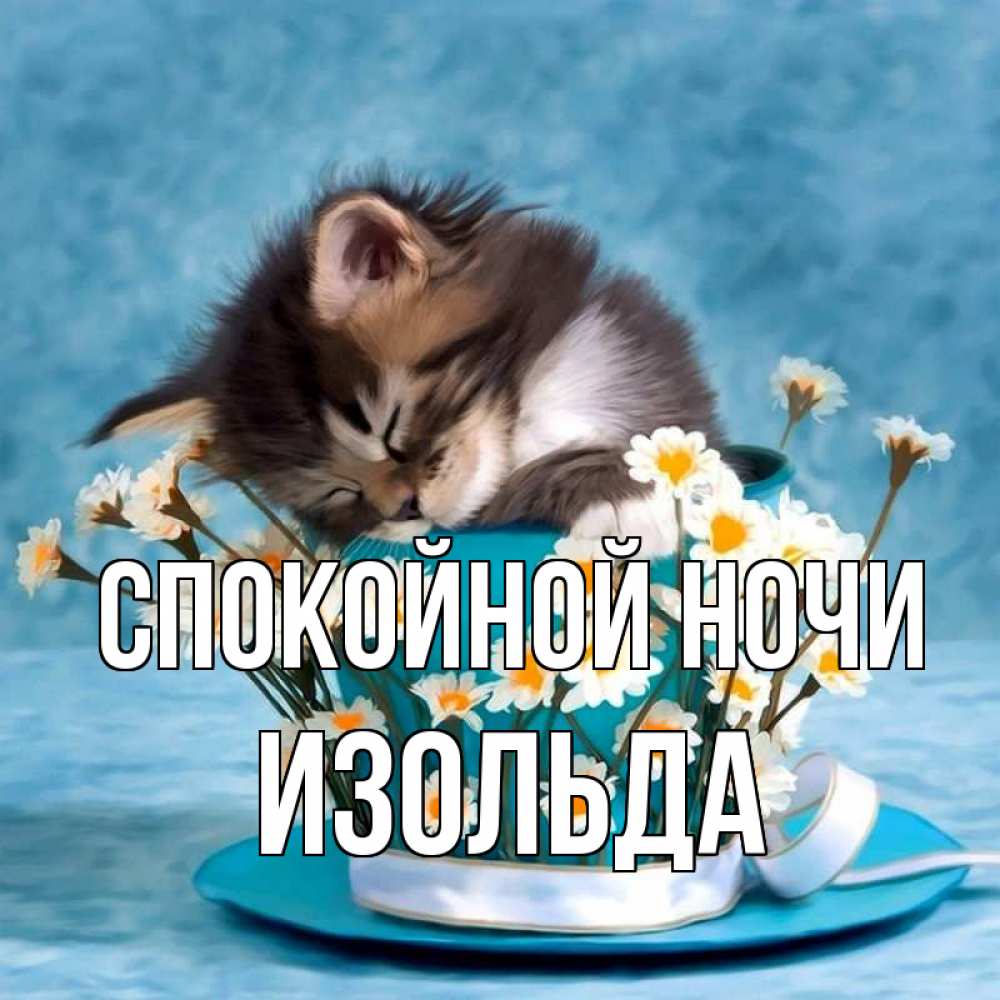 Открытка на каждый день с именем, Изольда Спокойной ночи котенок спит в кружке с блюдцем Прикольная открытка с пожеланием онлайн скачать бесплатно 