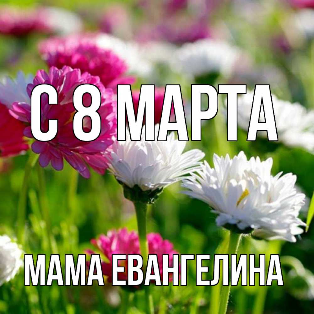 Открытка на каждый день с именем, Мама-Евангелина С 8 МАРТА международный женский день 1 Прикольная открытка с пожеланием онлайн скачать бесплатно 