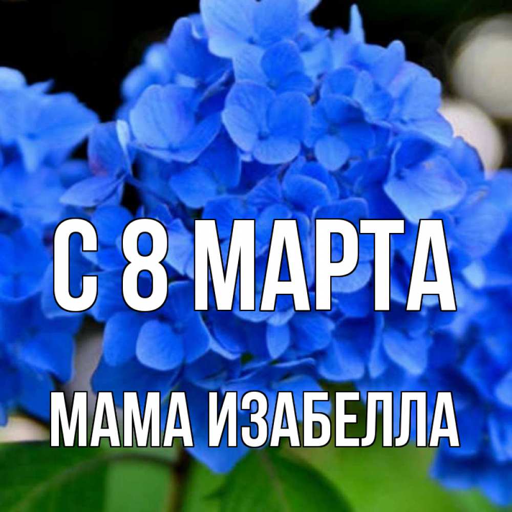 Открытка на каждый день с именем, Мама-Изабелла С 8 марта синие цветы Прикольная открытка с пожеланием онлайн скачать бесплатно 