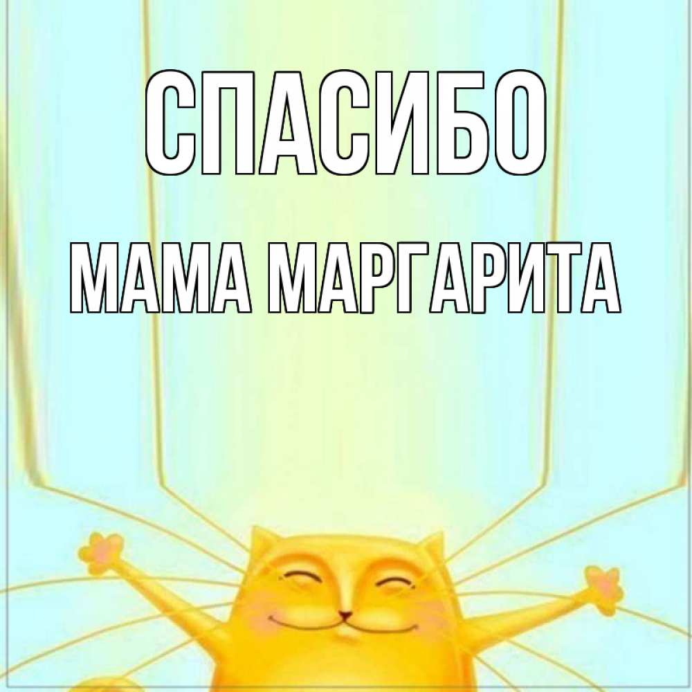 Открытка на каждый день с именем, Мама-Маргарита Спасибо кот с усами благодарит Прикольная открытка с пожеланием онлайн скачать бесплатно 