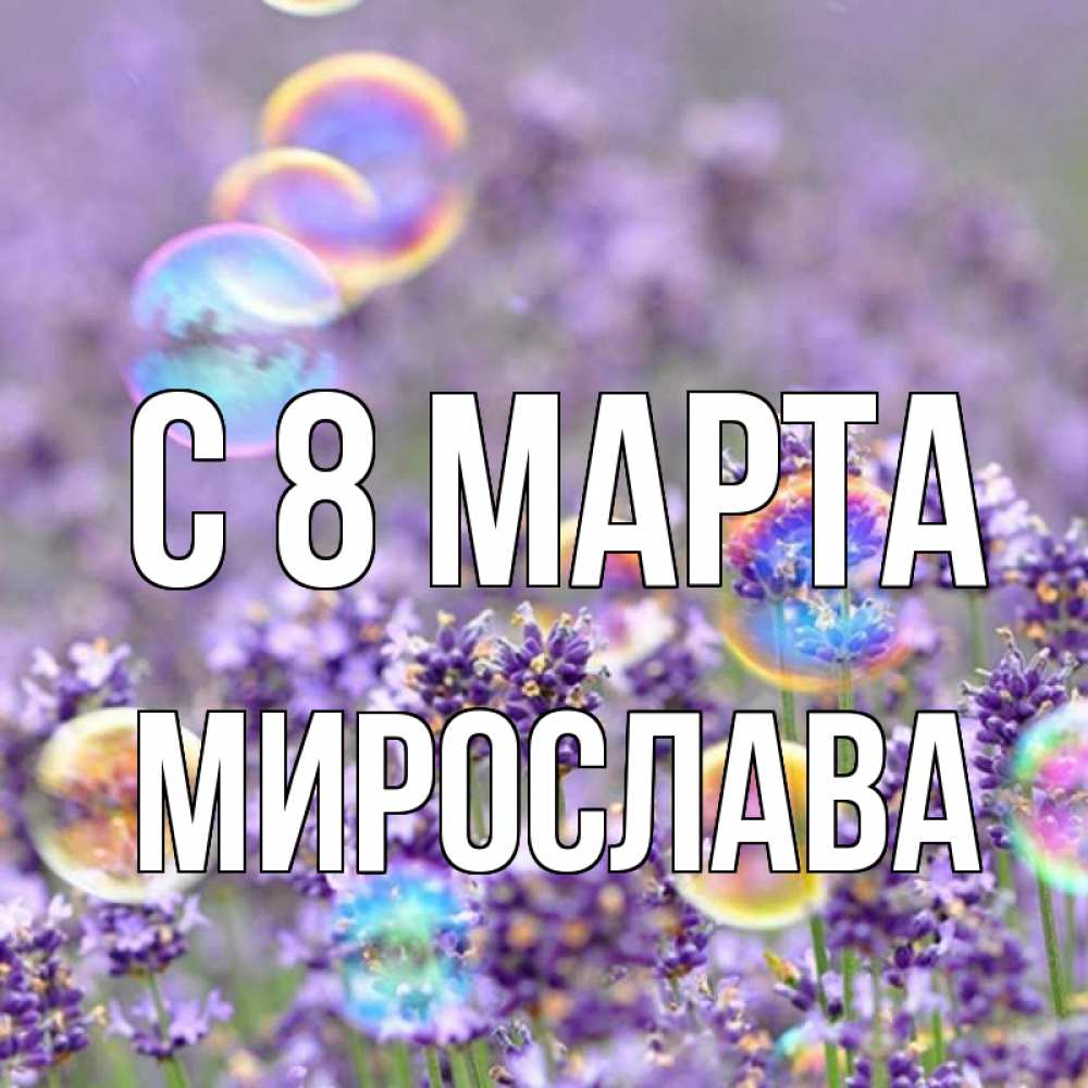 Открытка на каждый день с именем, Мирослава С 8 МАРТА цветы Прикольная открытка с пожеланием онлайн скачать бесплатно 