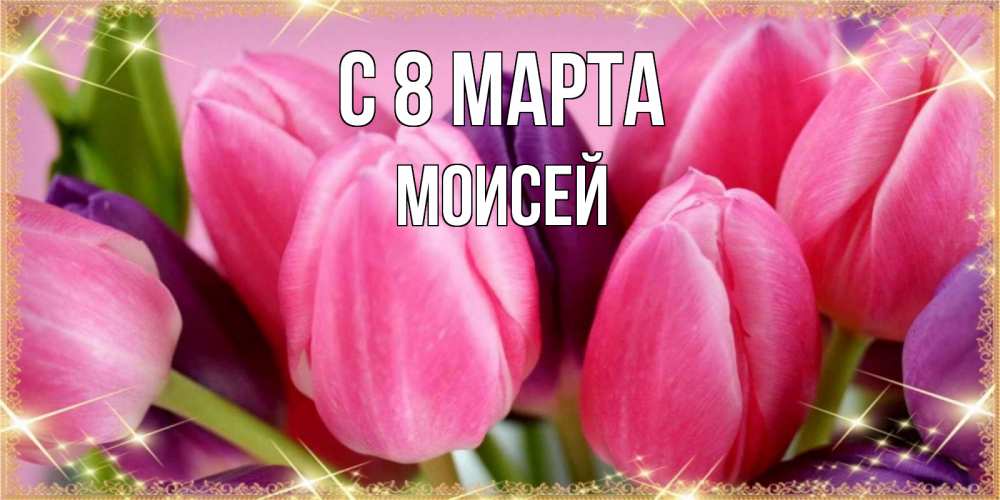 Открытка на каждый день с именем, Моисей С 8 МАРТА тюльпаны для женщины на международный женский день Прикольная открытка с пожеланием онлайн скачать бесплатно 