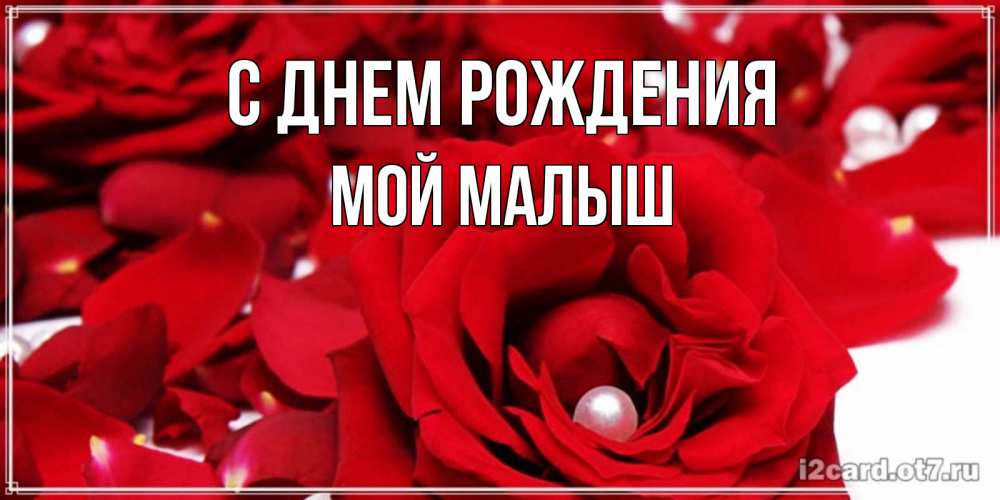 Открытка на каждый день с именем, Мой-малыш С днем рождения роза с жемчужиной на открытке для любимых Прикольная открытка с пожеланием онлайн скачать бесплатно 