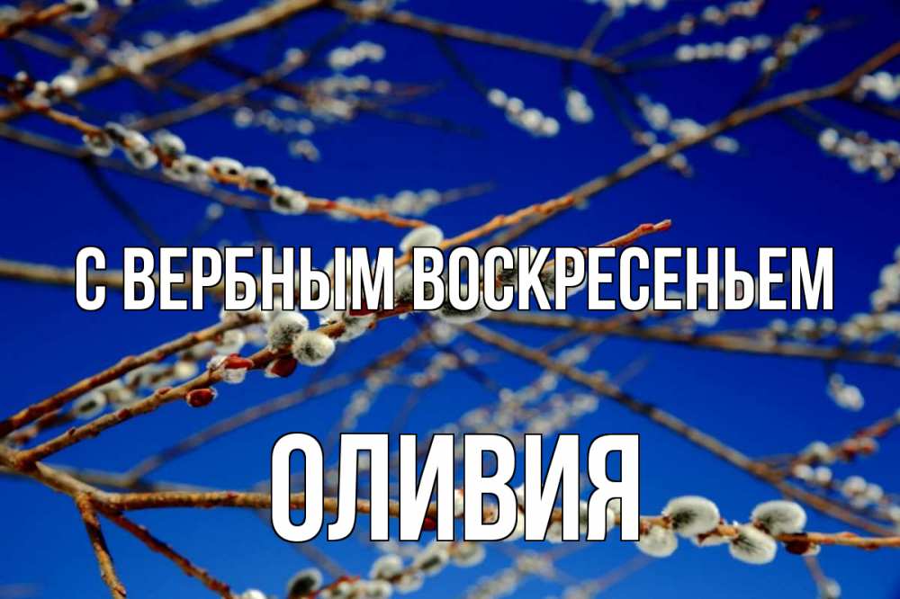 Открытка на каждый день с именем, Оливия С вербным воскресеньем верба Прикольная открытка с пожеланием онлайн скачать бесплатно 