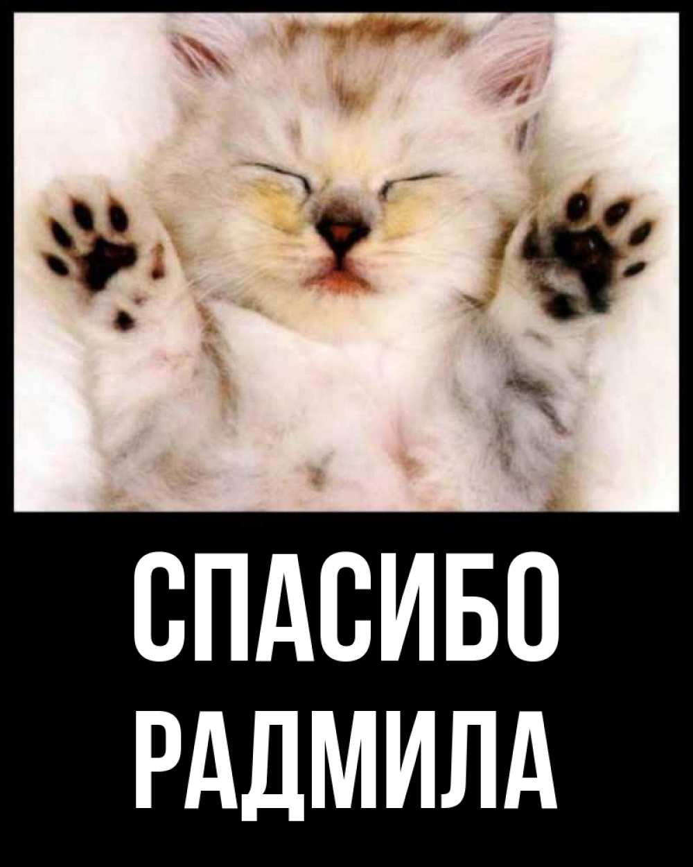 Открытка на каждый день с именем, Радмила Спасибо маленький котенок Прикольная открытка с пожеланием онлайн скачать бесплатно 