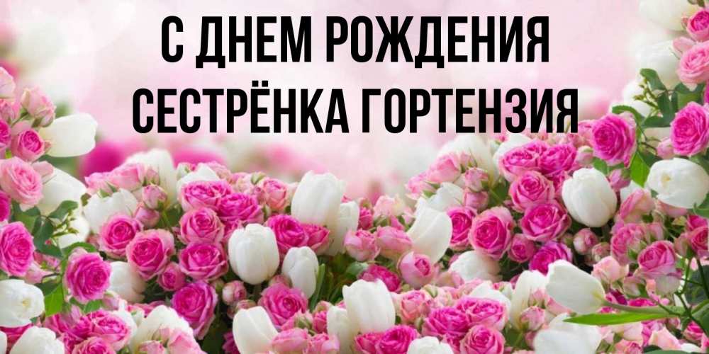 Открытка на каждый день с именем, Сестрёнка-Гортензия С днем рождения открытка с разными розами Прикольная открытка с пожеланием онлайн скачать бесплатно 