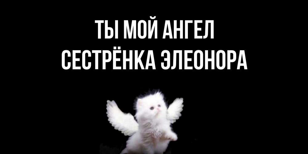 Открытка на каждый день с именем, Сестрёнка-Элеонора Ты мой ангел Кот ангел Прикольная открытка с пожеланием онлайн скачать бесплатно 