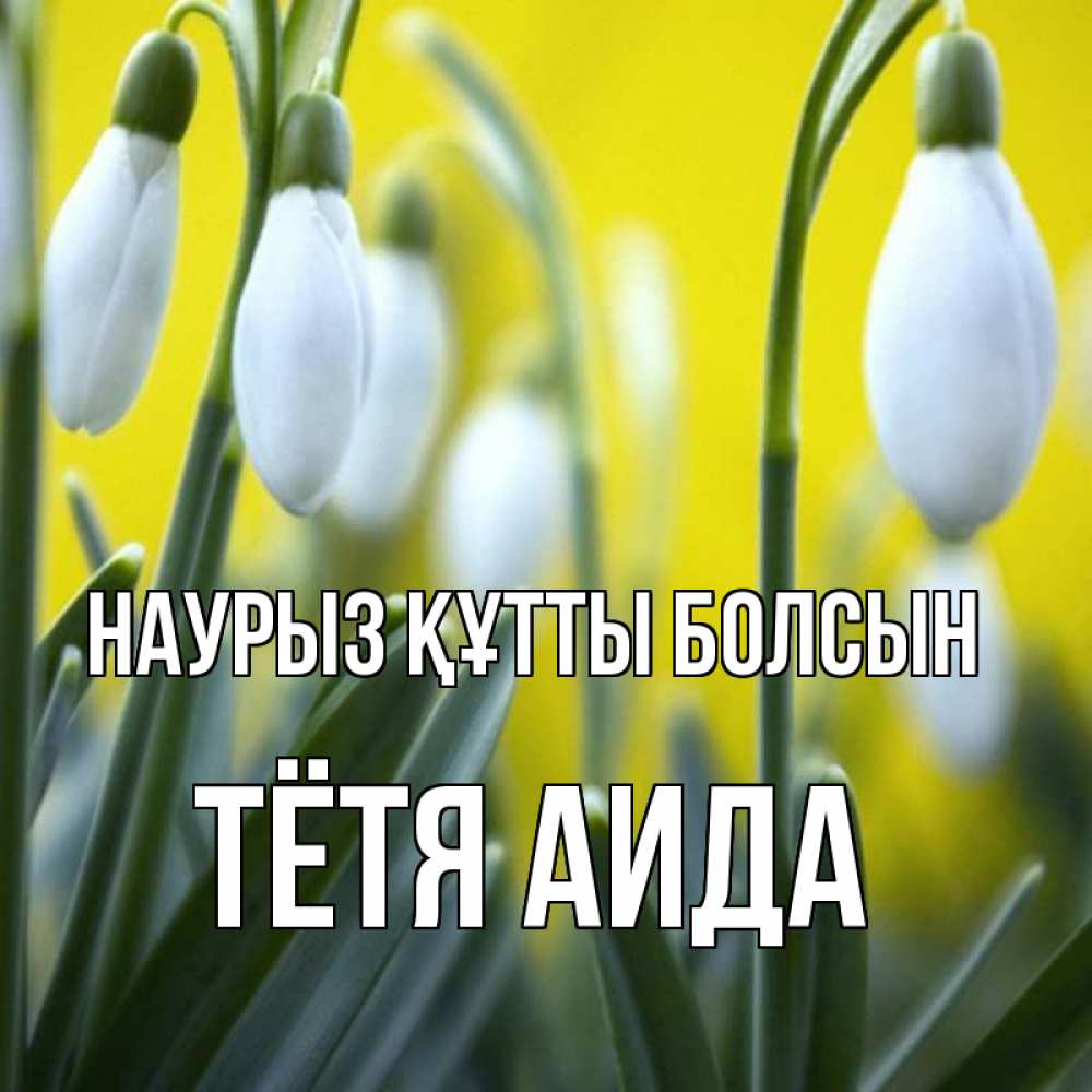 Открытка на каждый день с именем, Тётя-Аида Наурыз құтты болсын весенние цветы Прикольная открытка с пожеланием онлайн скачать бесплатно 