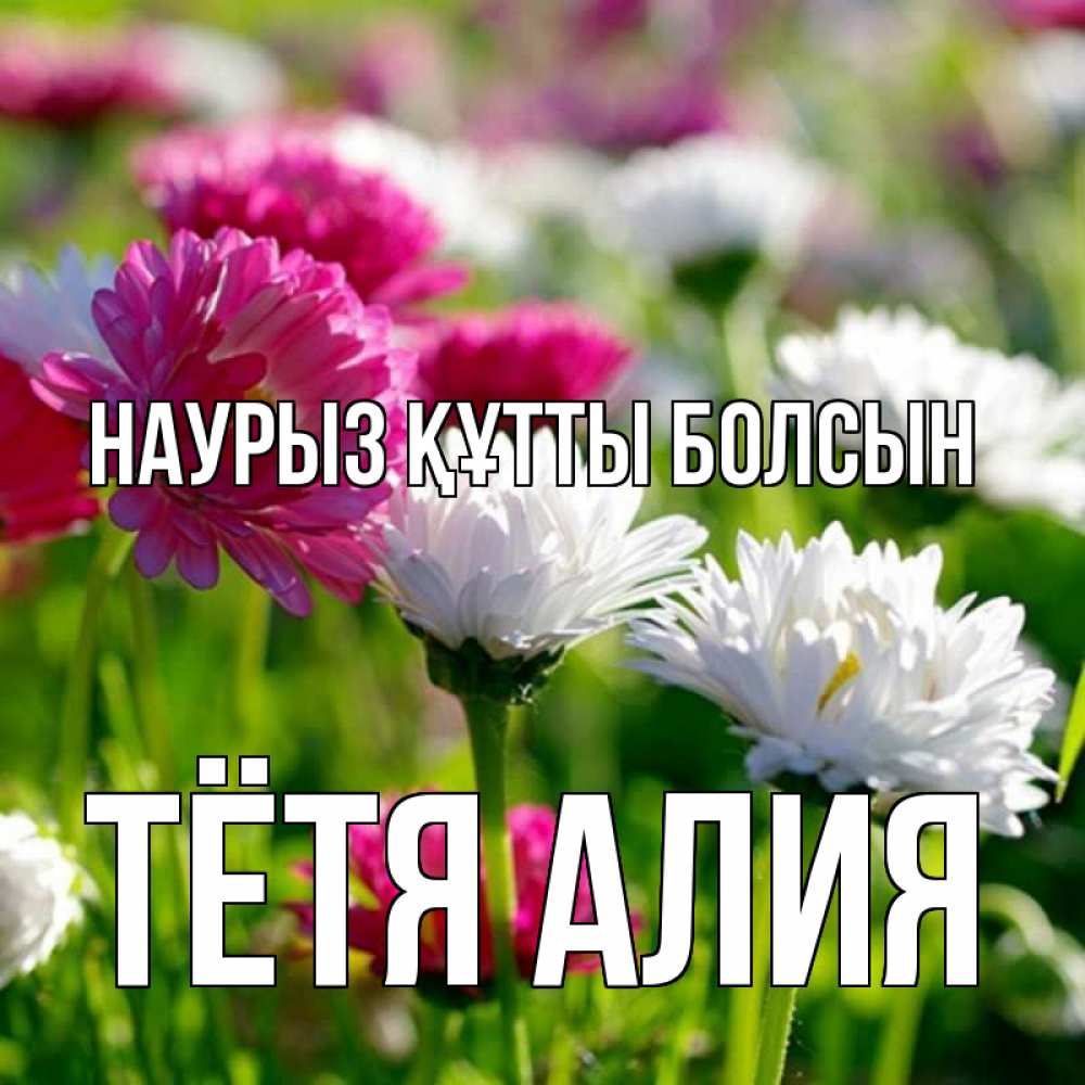 Открытка на каждый день с именем, Тётя-Алия Наурыз құтты болсын наурыз Прикольная открытка с пожеланием онлайн скачать бесплатно 