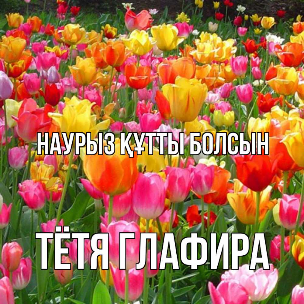 Открытка на каждый день с именем, Тётя-Глафира Наурыз құтты болсын на наурыз  ура ура Прикольная открытка с пожеланием онлайн скачать бесплатно 