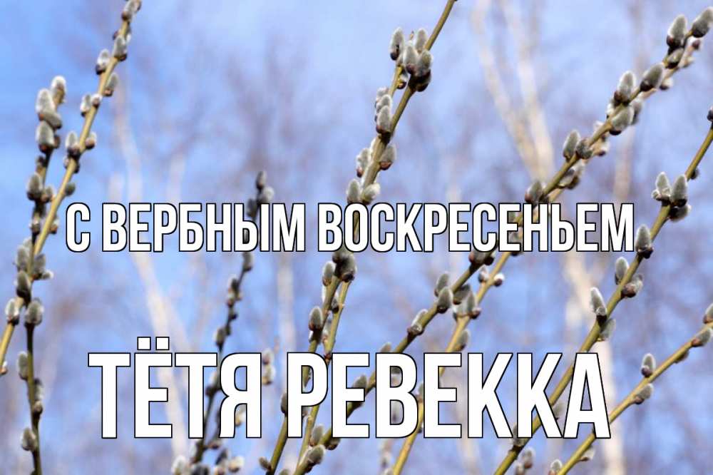 Открытка на каждый день с именем, Тётя-Ревекка С вербным воскресеньем верба Прикольная открытка с пожеланием онлайн скачать бесплатно 