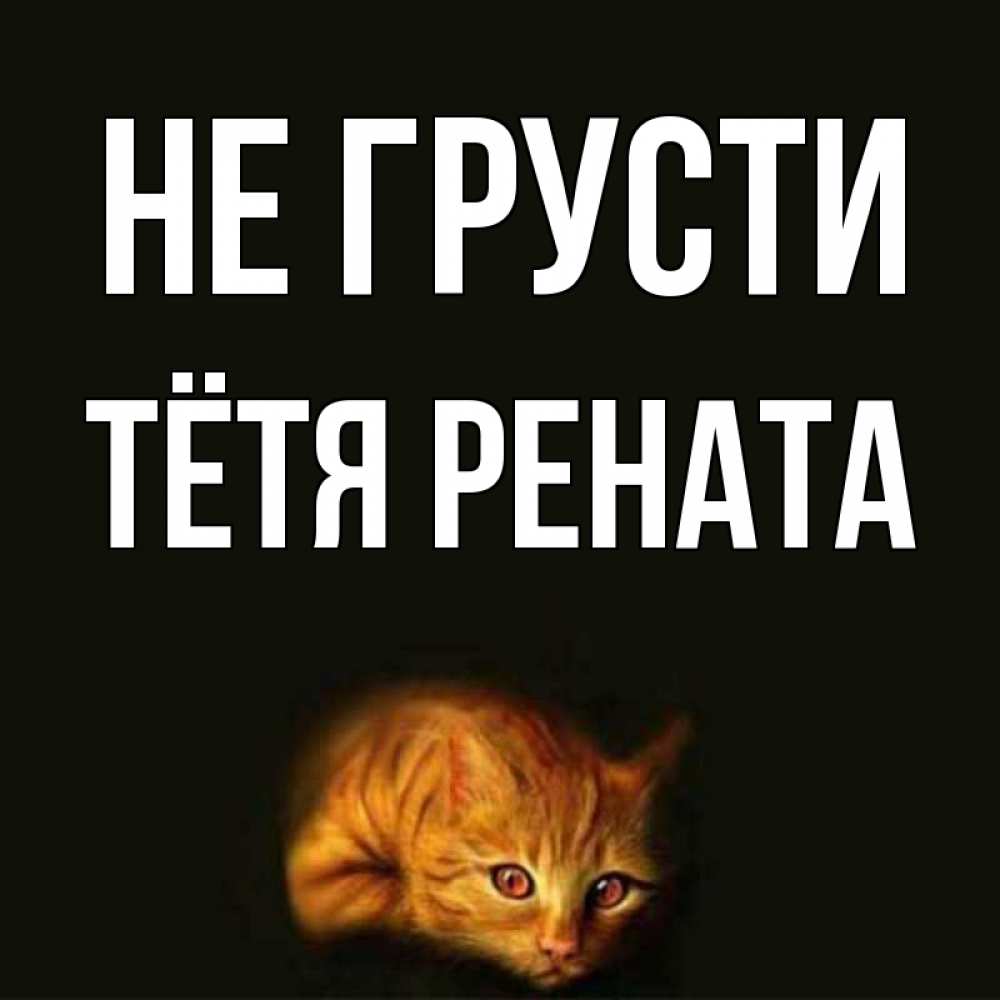 Открытка на каждый день с именем, Тётя-Рената Не грусти лежащий кот в темноте Прикольная открытка с пожеланием онлайн скачать бесплатно 