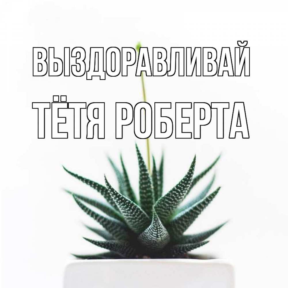 Открытка на каждый день с именем, Тётя-Роберта Выздоравливай короче это непонятная колючка Прикольная открытка с пожеланием онлайн скачать бесплатно 