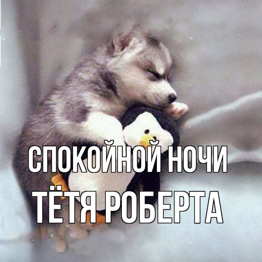 Открытка на каждый день с именем, Тётя-Роберта Спокойной ночи обнимашки щенка и пингвина Прикольная открытка с пожеланием онлайн скачать бесплатно 