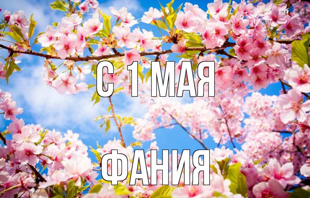 Открытка на каждый день с именем, Фания С 1 мая С 1 мая Прикольная открытка с пожеланием онлайн скачать бесплатно 