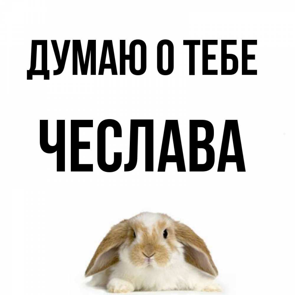 Открытка на каждый день с именем, Чеслава Думаю о тебе подписать своими руками онлайн Прикольная открытка с пожеланием онлайн скачать бесплатно 