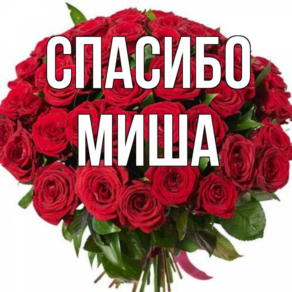 Спасибо Миша