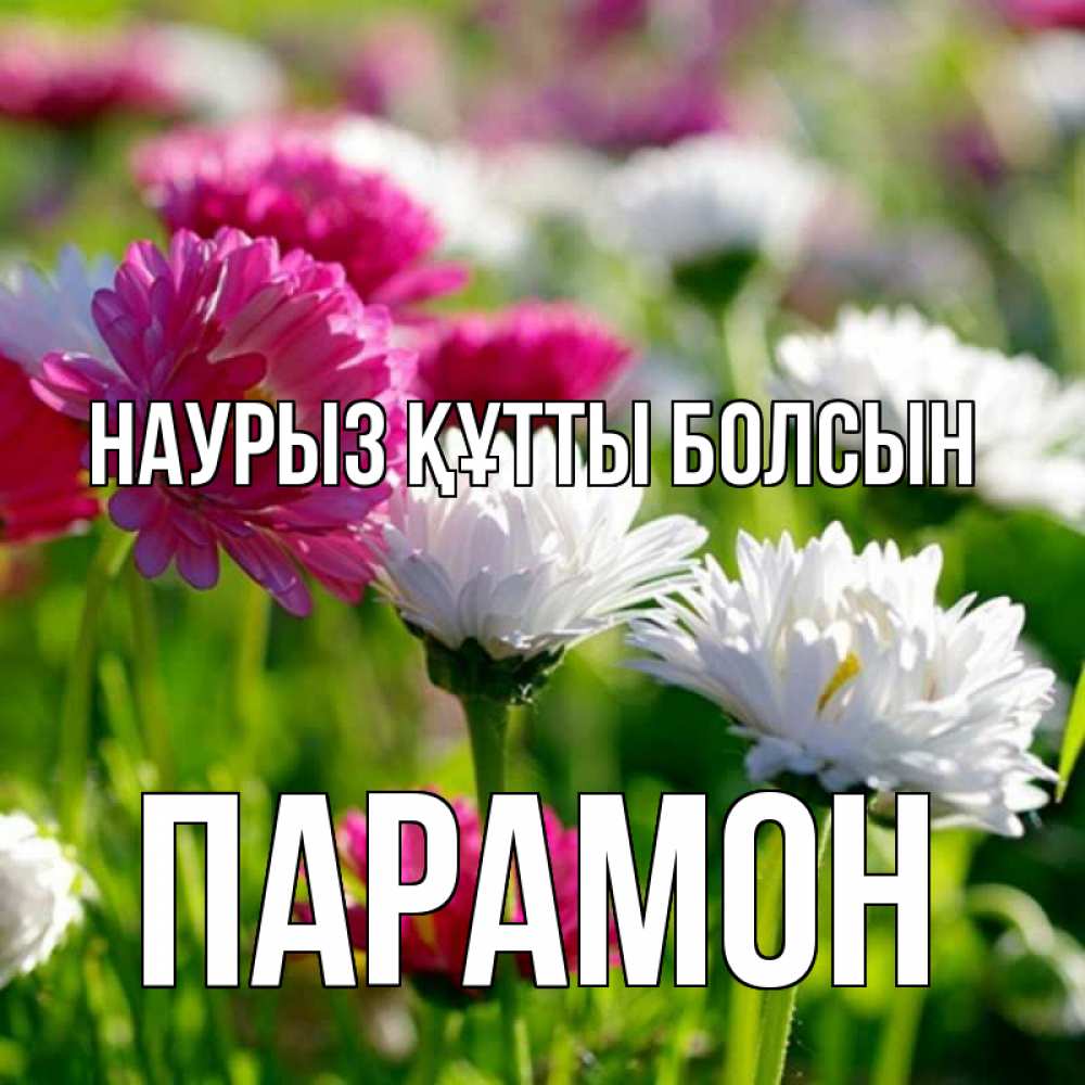 Открытка на каждый день с именем, Парамон Наурыз құтты болсын наурыз Прикольная открытка с пожеланием онлайн скачать бесплатно 