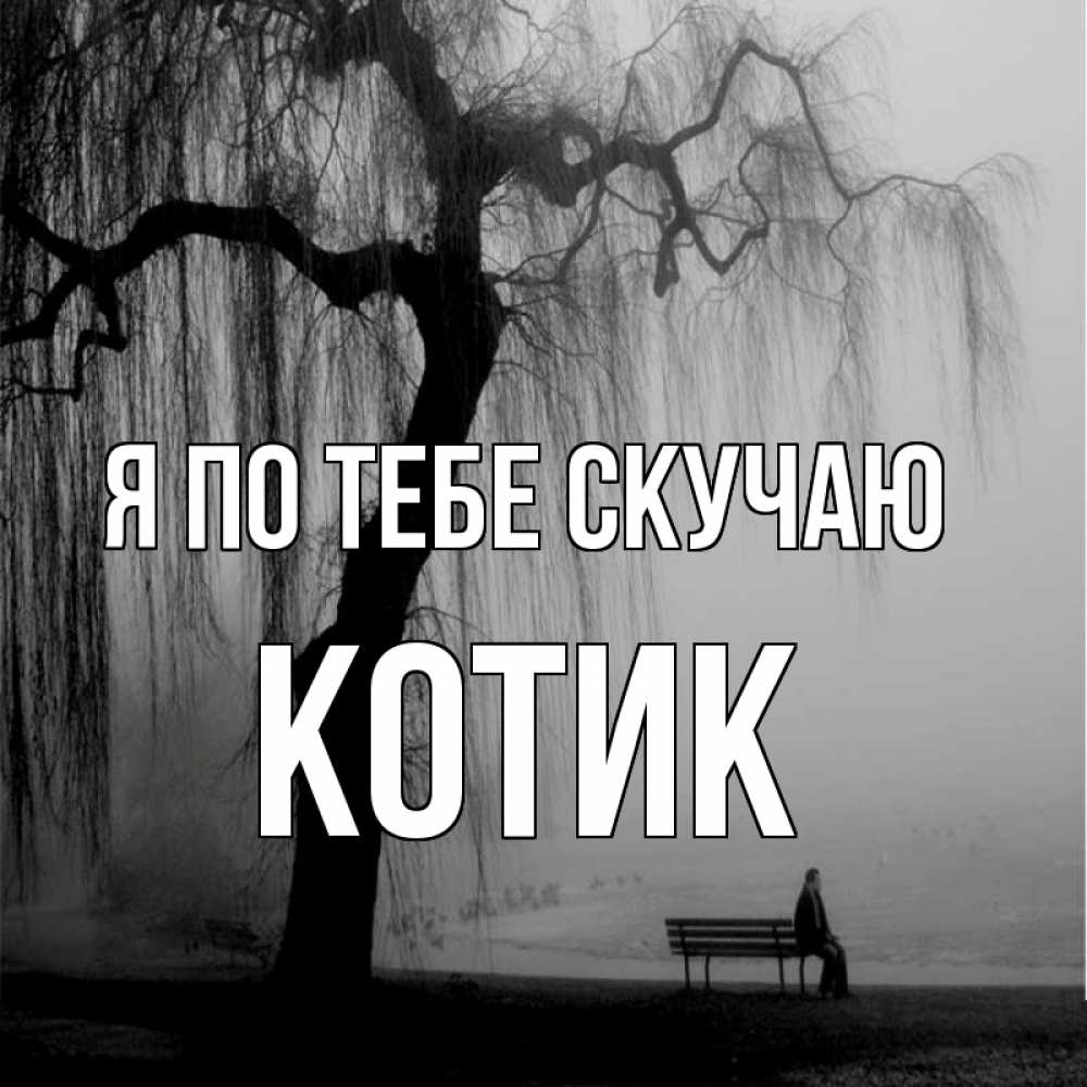 Открытка на каждый день с именем, Котик Я по тебе скучаю лавочка под деревом я жду тебя Прикольная открытка с пожеланием онлайн скачать бесплатно 