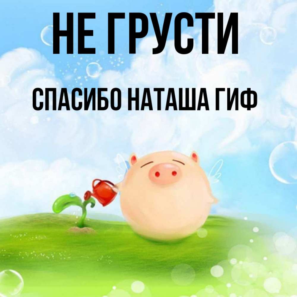 Открытка на каждый день с именем, СПАСИБО-НАТАША-ГИФ Не грусти поливает цветок порося Прикольная открытка с пожеланием онлайн скачать бесплатно 