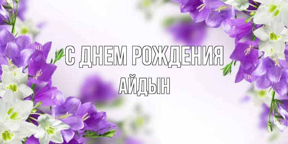 Картинка С днем рождения, Айдын