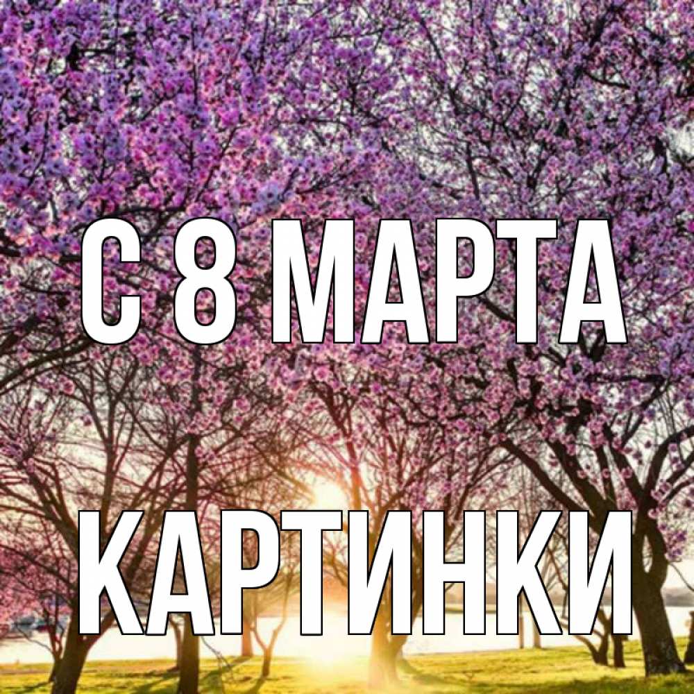 Открытка на каждый день с именем, Картинки С 8 МАРТА международный женский день Прикольная открытка с пожеланием онлайн скачать бесплатно 