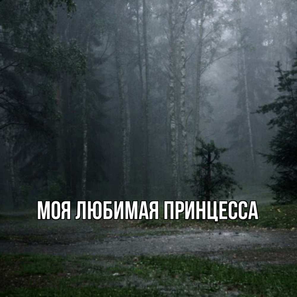 Открытка на каждый день с именем, Моя-Любимая-Принцесса Главная осень Прикольная открытка с пожеланием онлайн скачать бесплатно 