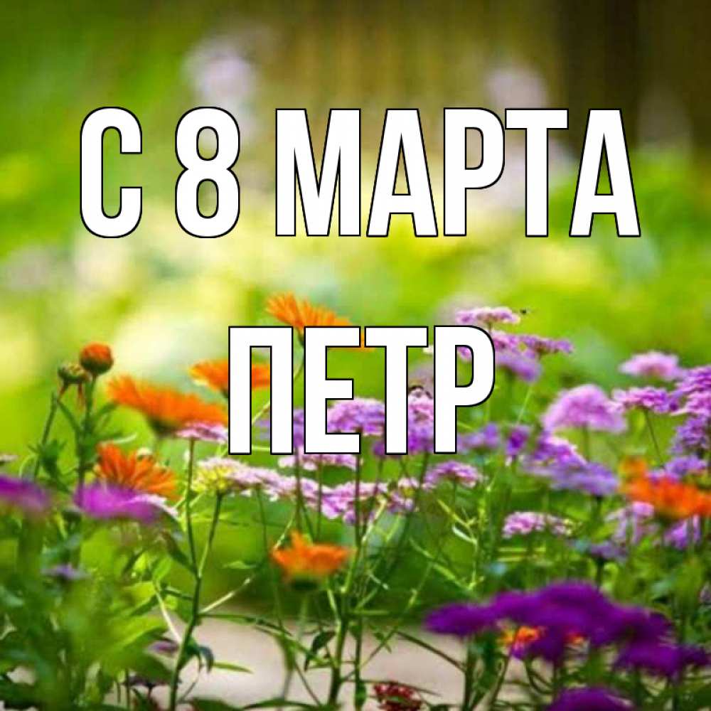 Открытка на каждый день с именем, Петр С 8 МАРТА цветы Прикольная открытка с пожеланием онлайн скачать бесплатно 