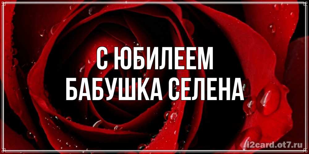 Открытка на каждый день с именем, Бабушка-Селена С юбилеем крупная бордовая роза Прикольная открытка с пожеланием онлайн скачать бесплатно 