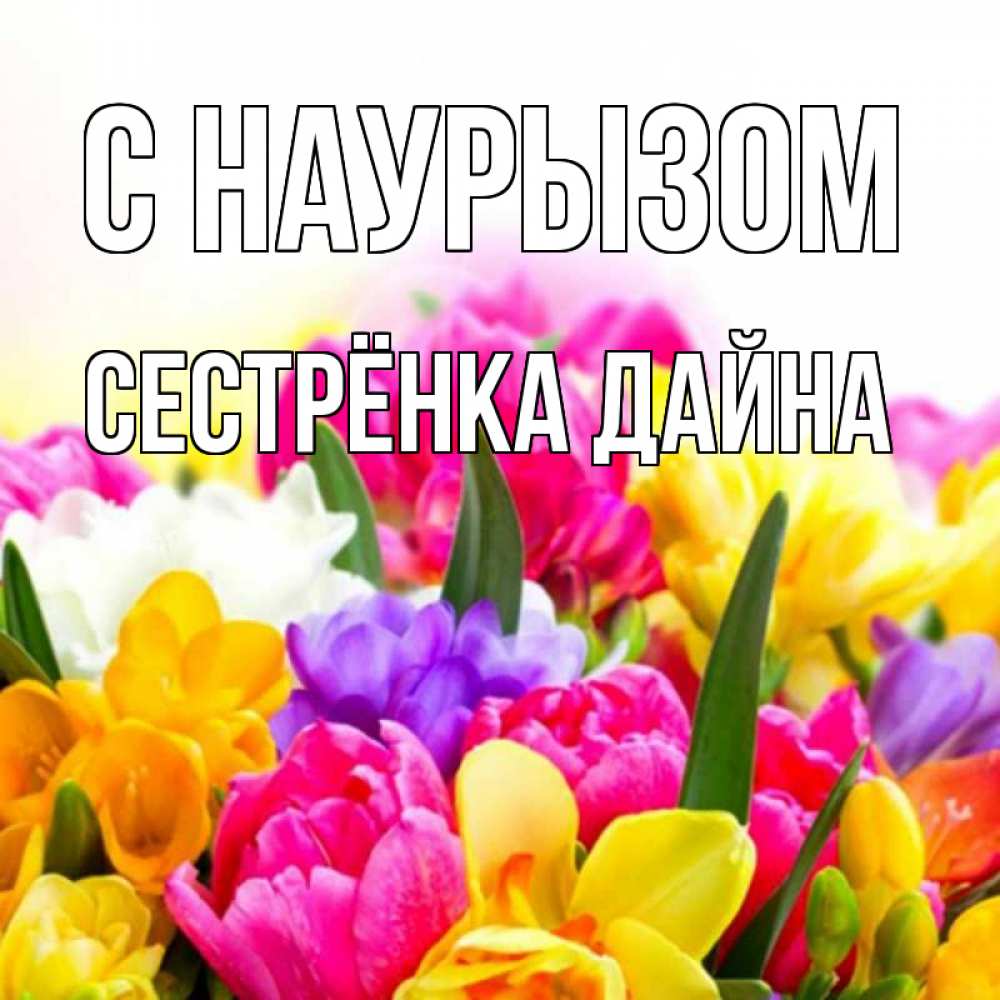 Открытка на каждый день с именем, Сестрёнка-Дайна С наурызом тюльпаны Прикольная открытка с пожеланием онлайн скачать бесплатно 