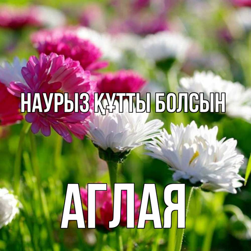 Открытка на каждый день с именем, Аглая Наурыз құтты болсын наурыз Прикольная открытка с пожеланием онлайн скачать бесплатно 
