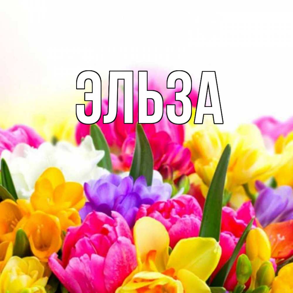 Картинка  с именем , Эльза