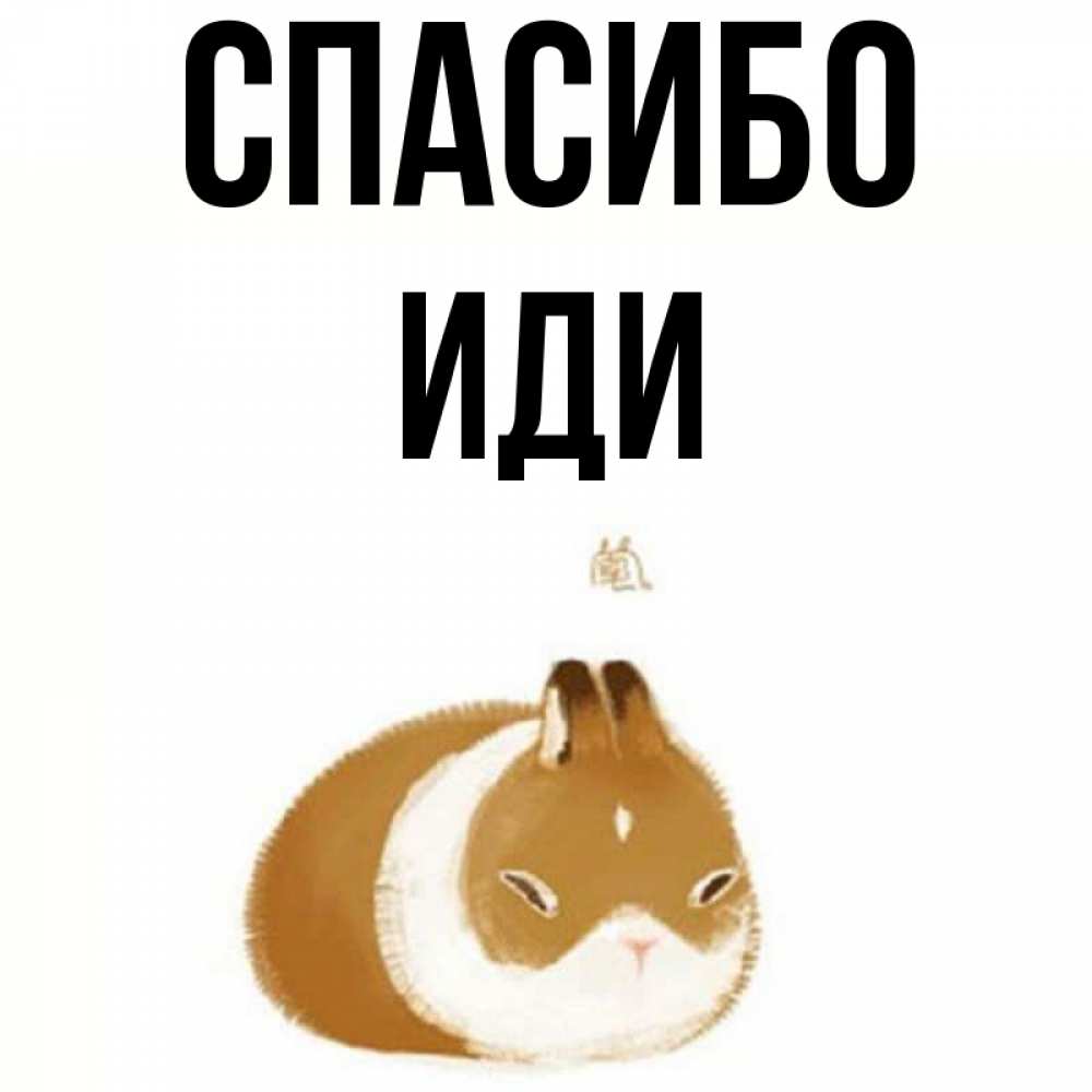 Имя шел