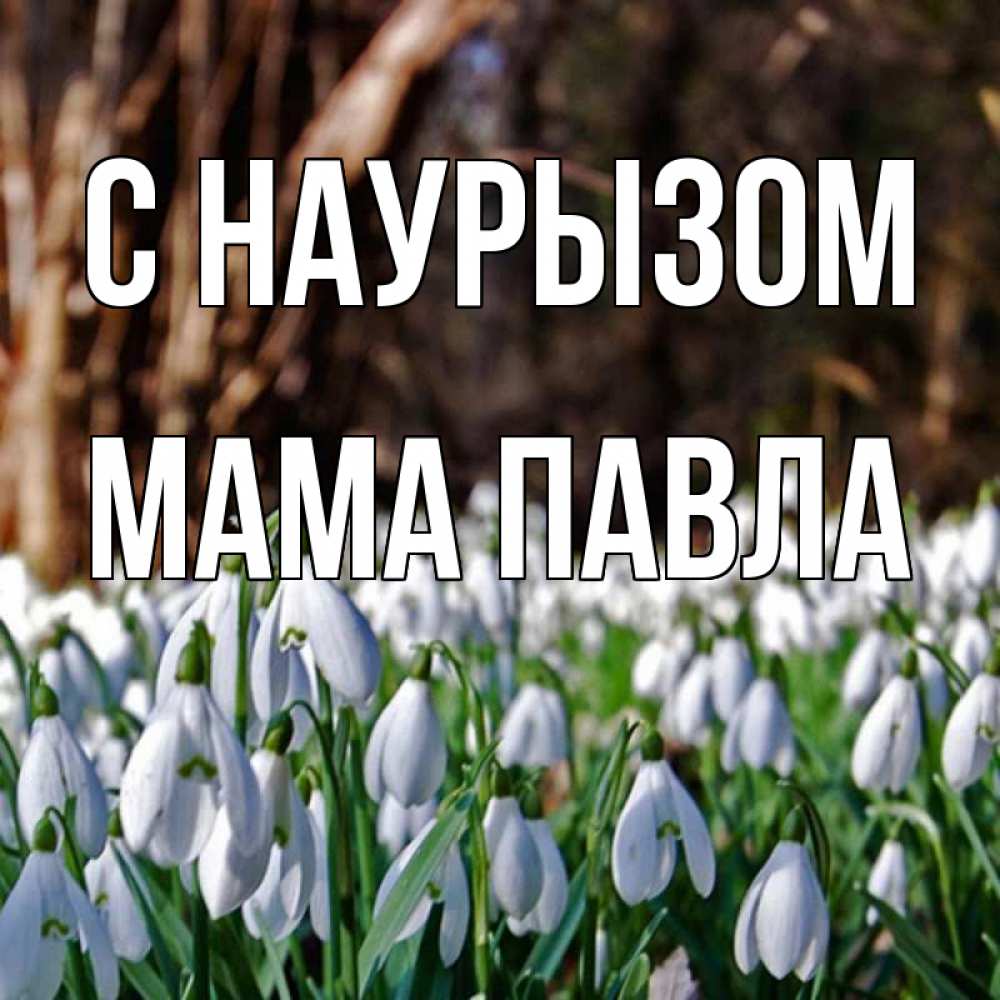 Открытка на каждый день с именем, Мама-Павла С наурызом с подснежниками 1 Прикольная открытка с пожеланием онлайн скачать бесплатно 