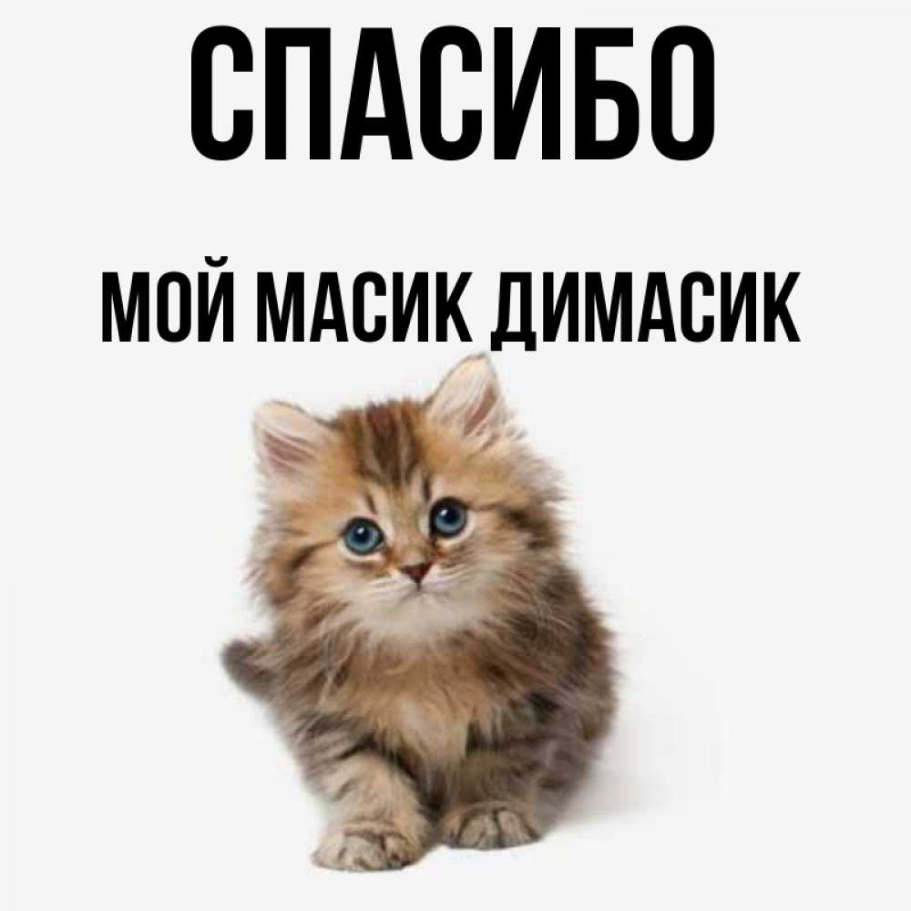 Доброе Утро Димасик