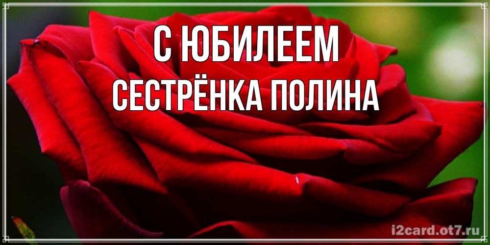 Открытка на каждый день с именем, Сестрёнка-Полина С юбилеем розочка очень красивая Прикольная открытка с пожеланием онлайн скачать бесплатно 