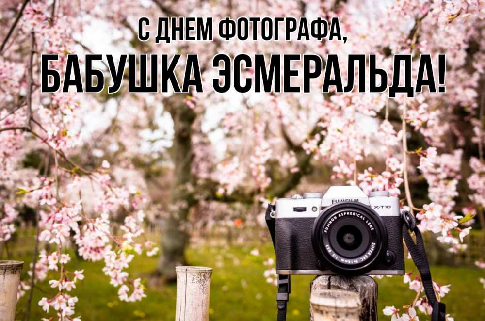 Открытка на каждый день с именем, Бабушка-Эсмеральда С днем фотографа сирень с днем фотографа, фотоаппарат Прикольная открытка с пожеланием онлайн скачать бесплатно 