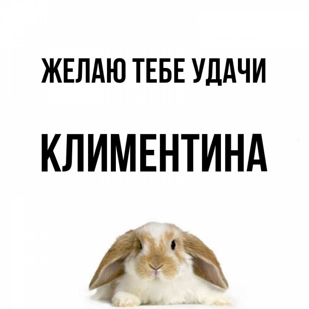 Открытка на каждый день с именем, Климентина Желаю тебе удачи открытки с произвольным текстом который можно вставить в открытку и создать ее самостоятельно бесплатно онлайн Прикольная открытка с пожеланием онлайн скачать бесплатно 