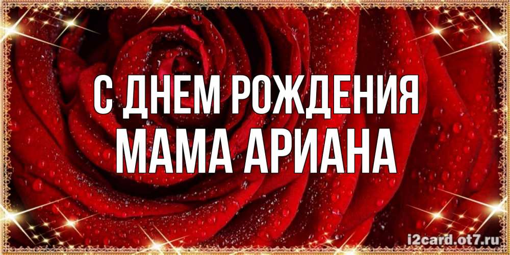 Открытка на каждый день с именем, Мама-Ариана С днем рождения роса на розе блестящая в лучах солнца Прикольная открытка с пожеланием онлайн скачать бесплатно 