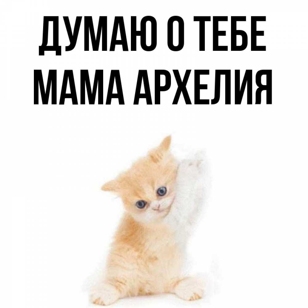 Открытка на каждый день с именем, Мама-Архелия Думаю о тебе зверушки и милота Прикольная открытка с пожеланием онлайн скачать бесплатно 