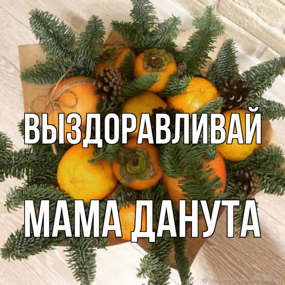 Открытка на каждый день с именем, Мама-Данута Выздоравливай апельсины и хурьма Прикольная открытка с пожеланием онлайн скачать бесплатно 