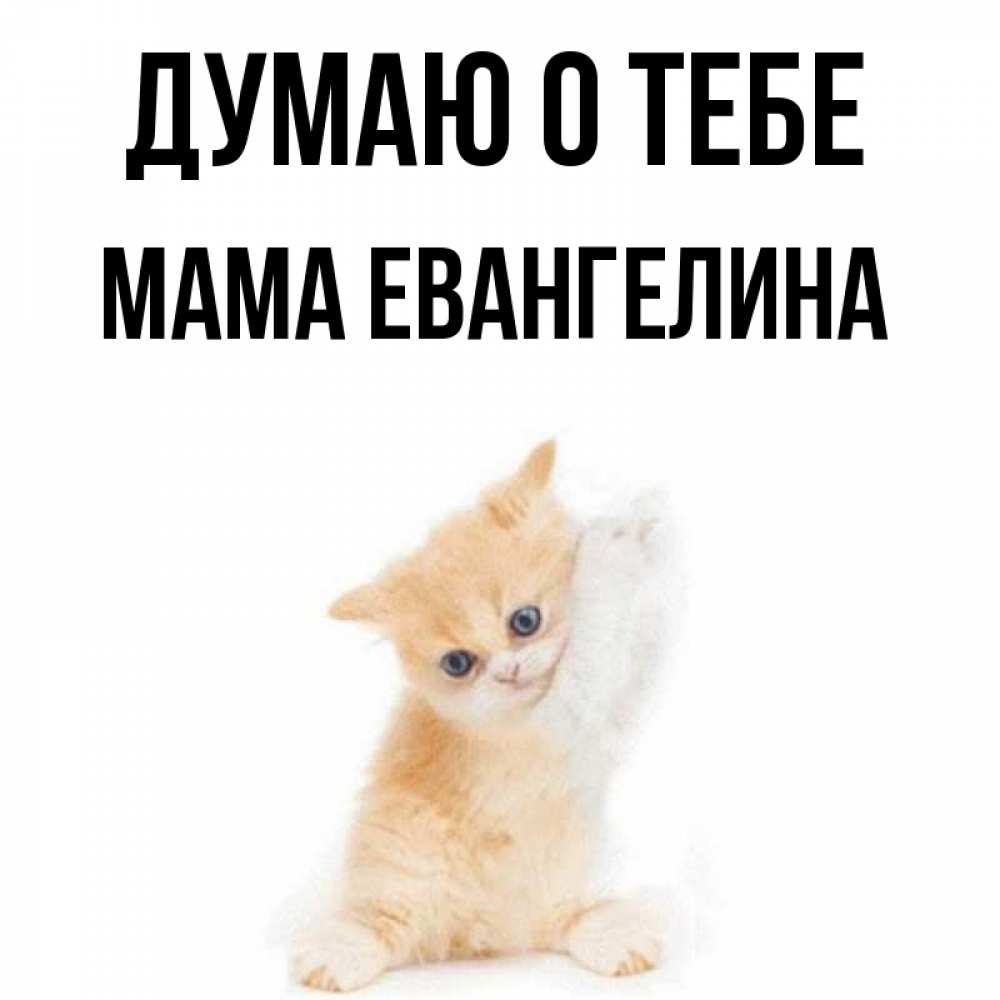 Открытка на каждый день с именем, Мама-Евангелина Думаю о тебе зверушки и милота Прикольная открытка с пожеланием онлайн скачать бесплатно 
