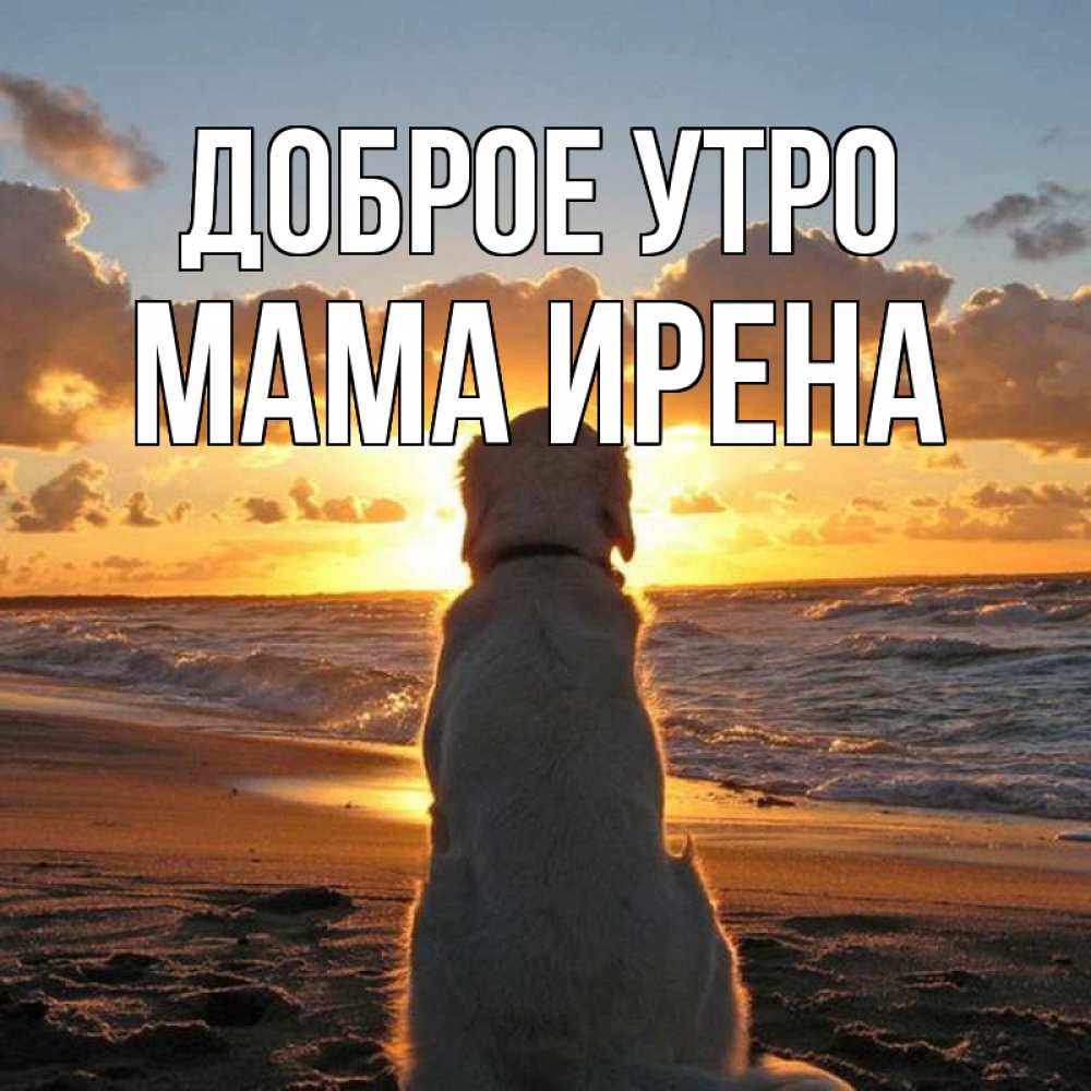 Открытка на каждый день с именем, Мама-Ирена Доброе утро восход солнца Прикольная открытка с пожеланием онлайн скачать бесплатно 